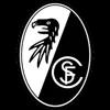 弗赖堡的队标logo