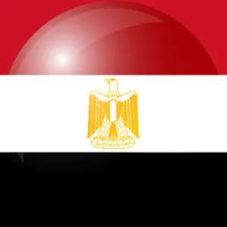埃及的队标logo