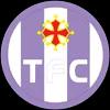 图卢兹的队标logo