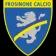 弗罗西诺内的logo