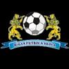 里加足球学校的队标logo