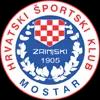 萨连斯基的队标logo