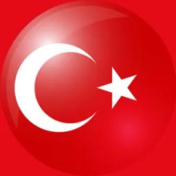 土耳其的队标logo