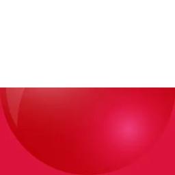 波兰的队标logo