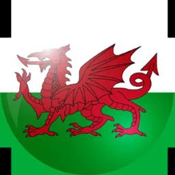 威尔士的队标logo