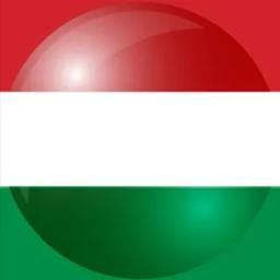 匈牙利的队标logo