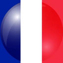 法国的队标logo