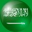 沙特阿拉伯的logo
