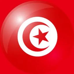 突尼斯的队标logo