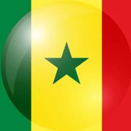 塞内加尔的队标logo