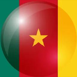 喀麦隆的队标logo