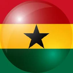 加纳的队标logo