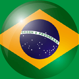 巴西的队标logo