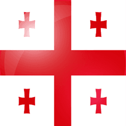 格鲁吉亚的队标logo